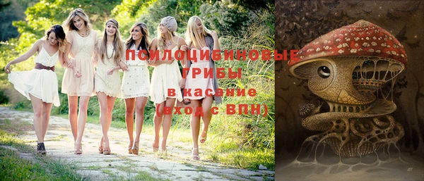 МДПВ Видное