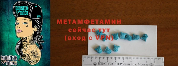 PSILOCYBIN Вяземский