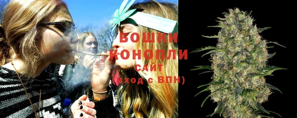 PSILOCYBIN Вяземский