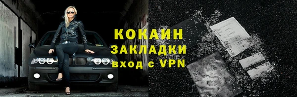 PSILOCYBIN Вяземский